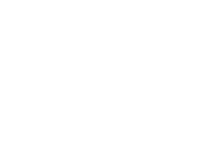 Independent Member of BDO Alliance USA